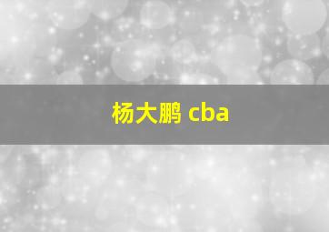 杨大鹏 cba